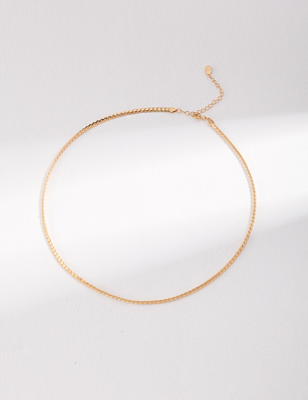 S925 Silver Simple Necklace