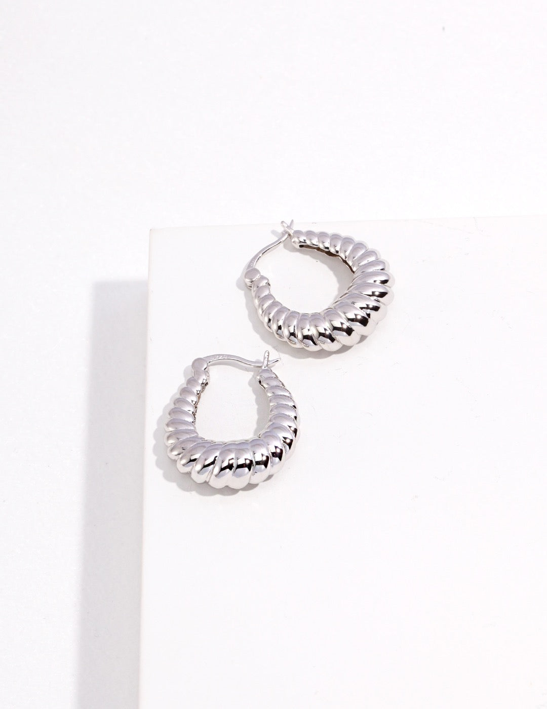 Textured S925 Silver Earrings